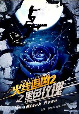火线追凶2之黑色玫瑰海报剧照
