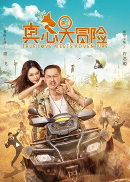 真心遇上大冒险海报剧照