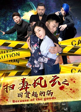 扫毒风云之因货起的祸海报剧照
