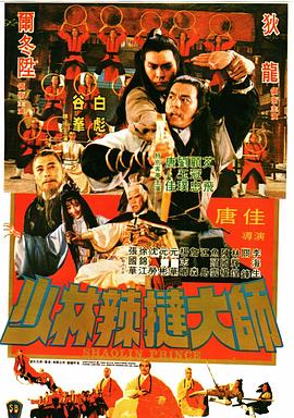 少林传人海报剧照