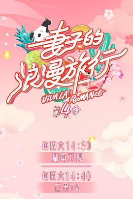 妻子的浪漫旅行第四季海报剧照