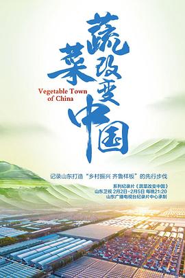 蔬菜改变中国海报剧照