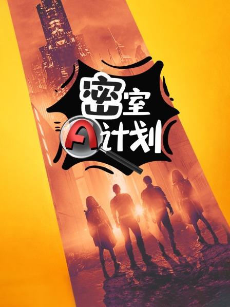 密室A计划海报剧照
