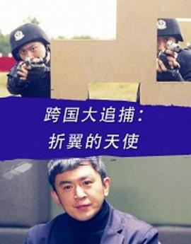 跨国大追捕：折翼的天使海报剧照