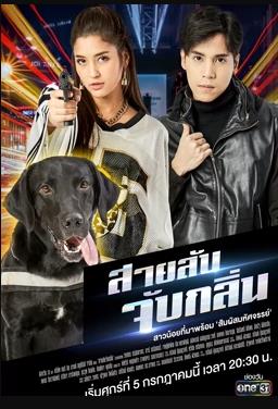 侦探K9普国语海报剧照