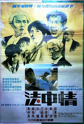 法中情海报剧照